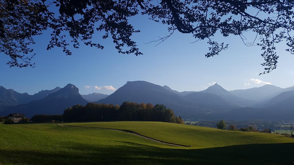 Residenz5360 Apartment Sankt Wolfgang im Salzkammergut ภายนอก รูปภาพ